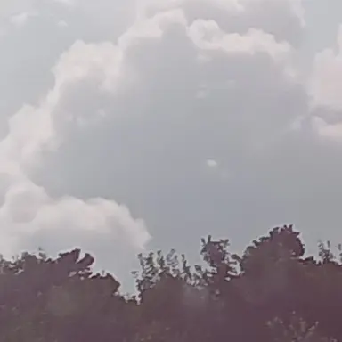 Profile image of 평학