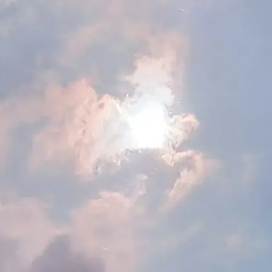 Profile image of 모찌엘