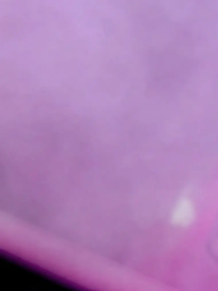 Jam.의 ガラス妄想病