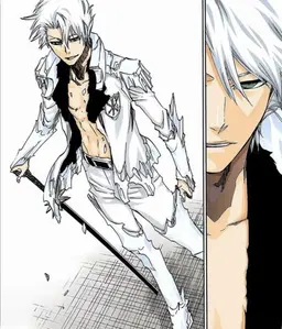Profile image of Toshiro Hitsugaya