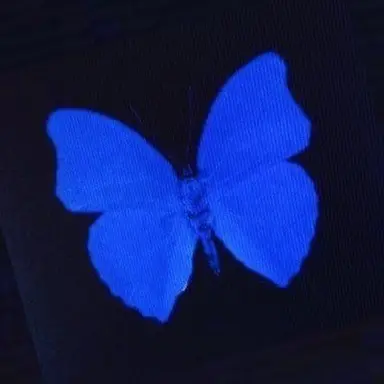 Profile image of パク・ジャムトゥル