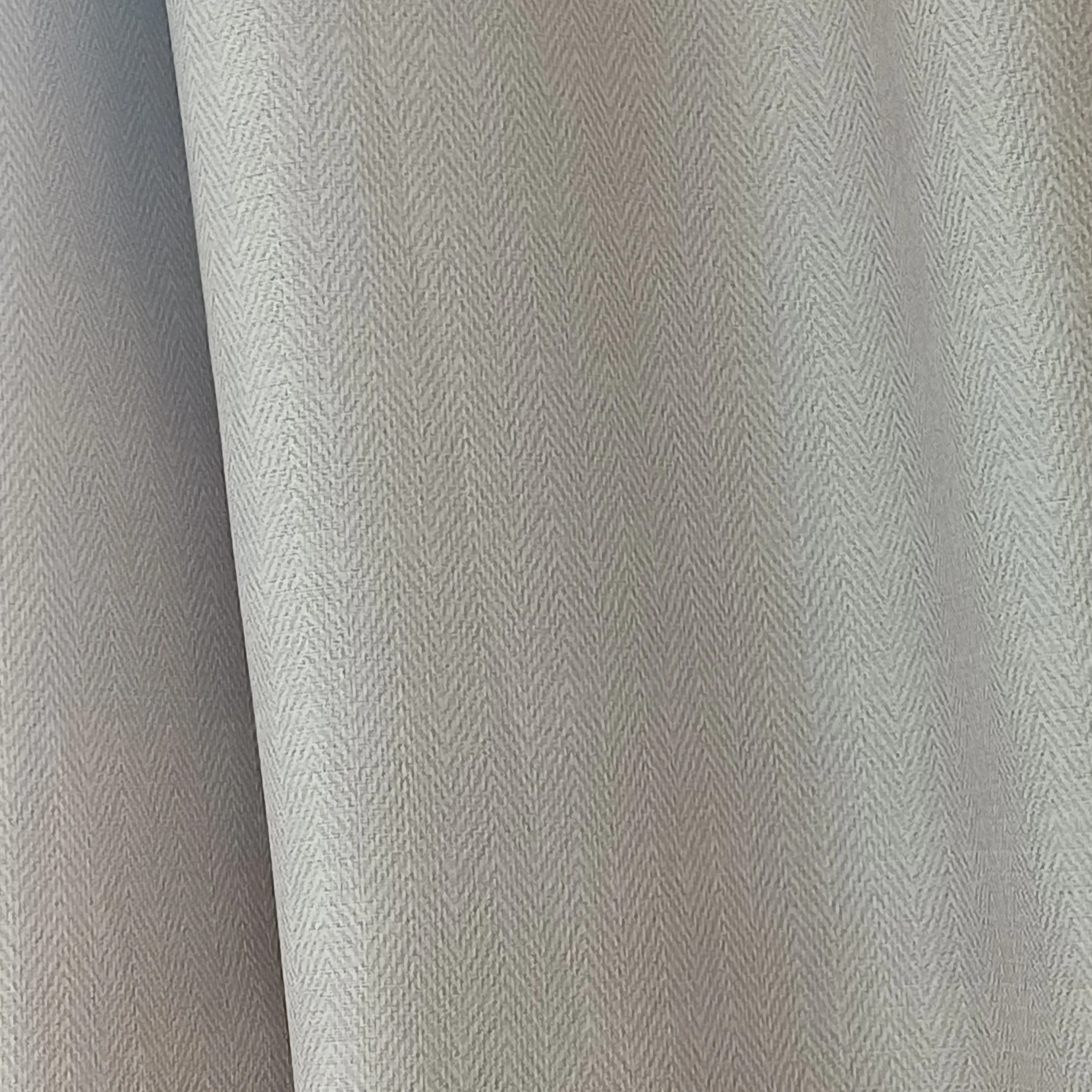 LoudQuote6657의 아기 사자