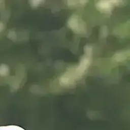 Profile image of 이지훈