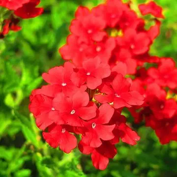 Profile image of 舜太