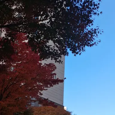 Profile image of 유기사