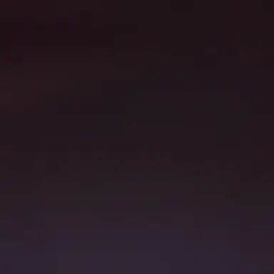 Profile image of 라더