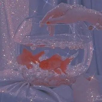 Profile image of 라더