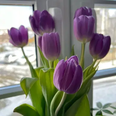 Profile image of 오시온