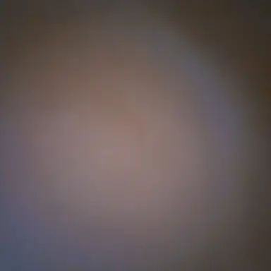 Profile image of 프레젠트 마이크