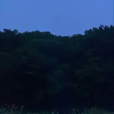 Profile image of 48382