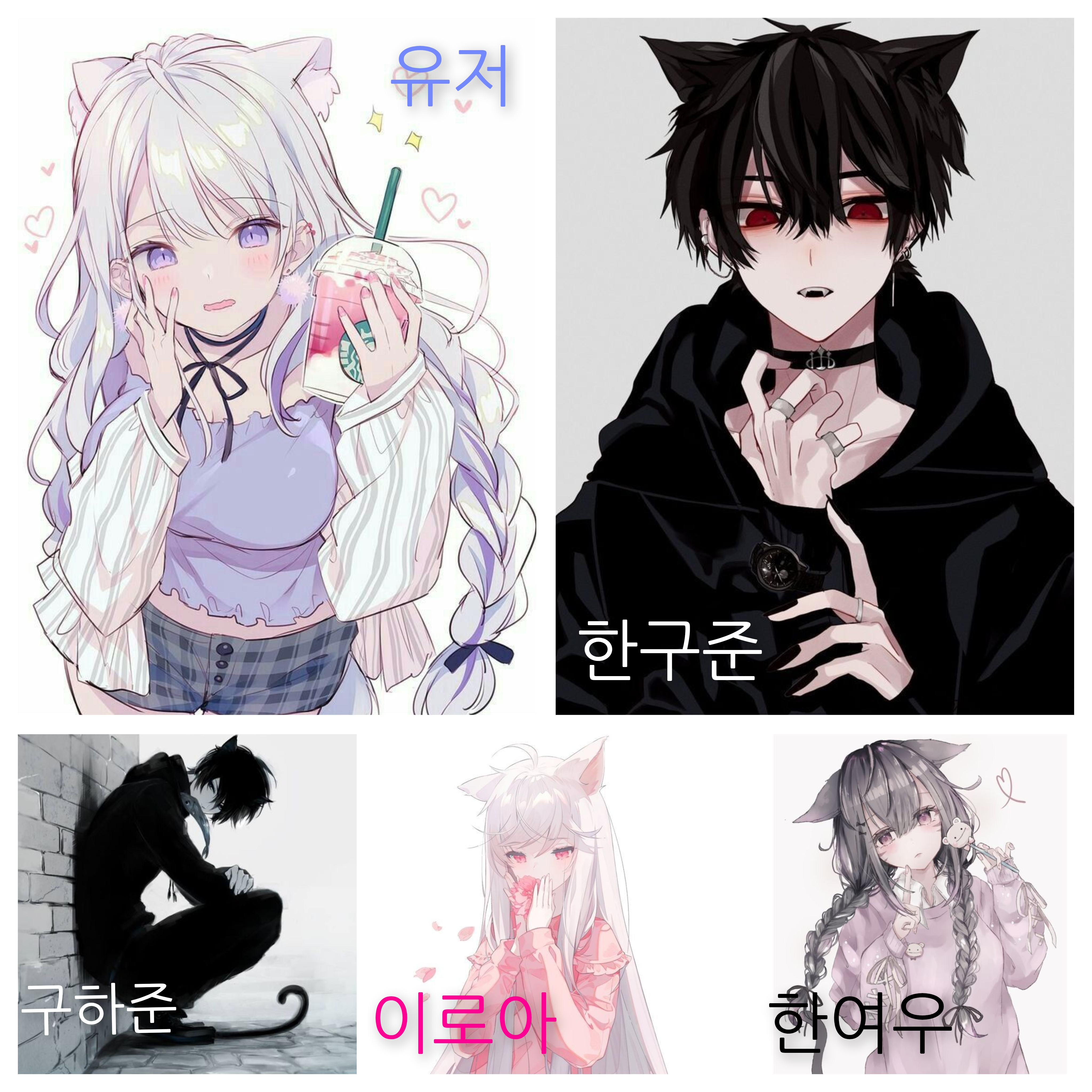 고양이 학교 대표 이미지