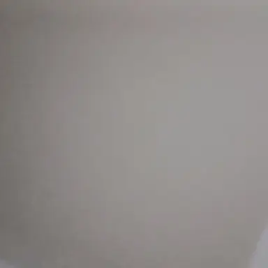Profile image of 박우진