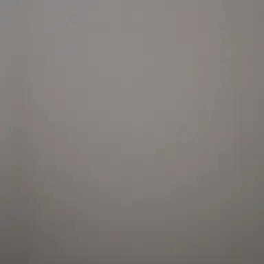 Profile image of 이대휘