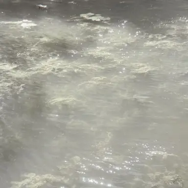 Profile image of 하태