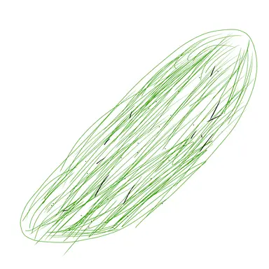 Profile image of きゅうり