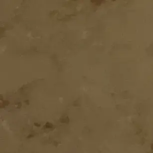 Profile image of 宇佐美