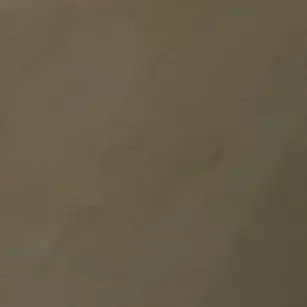 Profile image of 鯉登