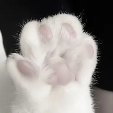 Profile image of 여까
