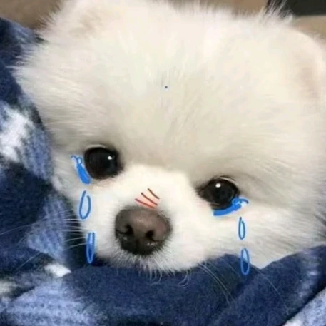 이백하