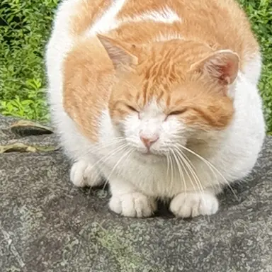 Profile image of 이동혁