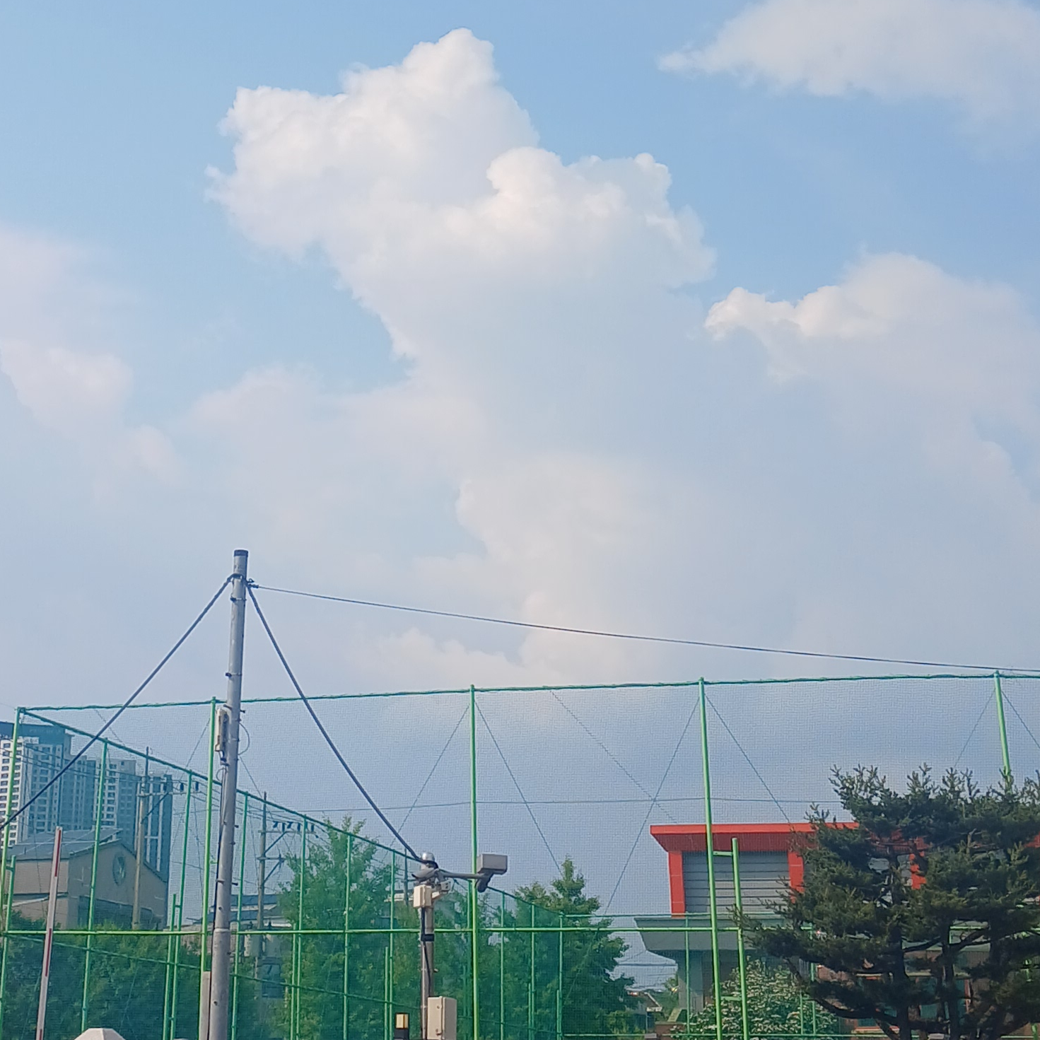 김솔음이랑 연애하기 대표 이미지