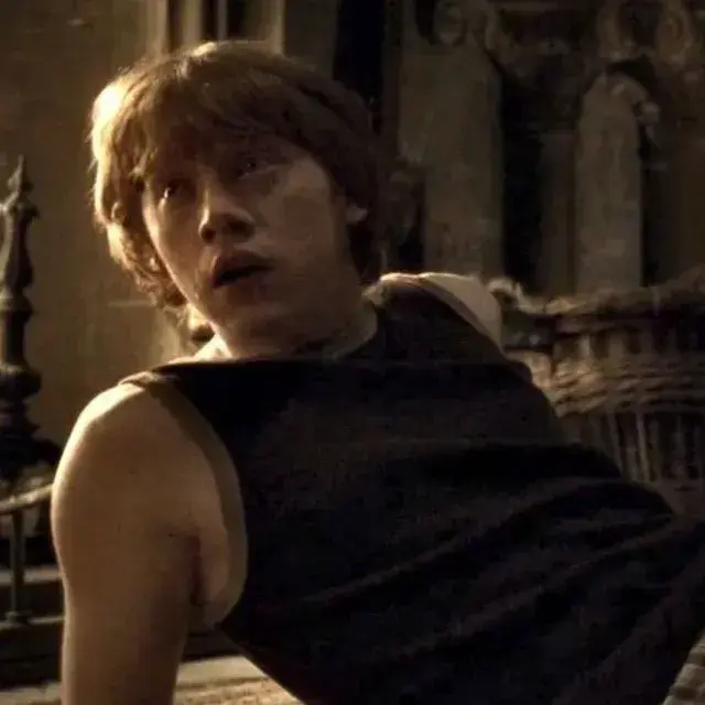 LeanCharm2474의 Ron Weasley