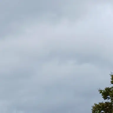 Profile image of 평학