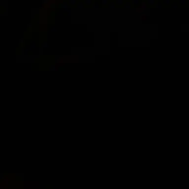 Profile image of 니콜라스