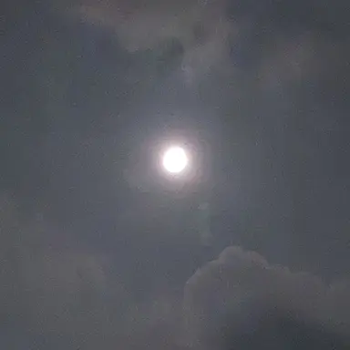 Profile image of 케이팝 데몬 헌터스