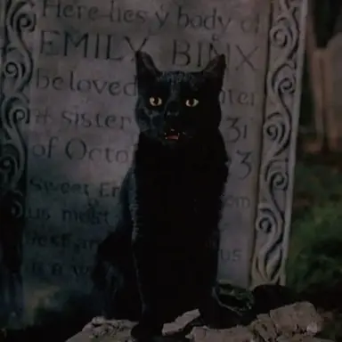 Profile image of Binx