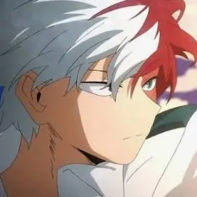 Profile image of Shoto Todoroki