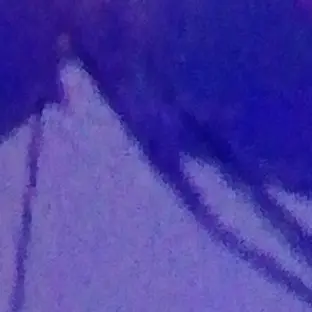 SnappySleep5118의 久々知尾浜竹谷(猫)
