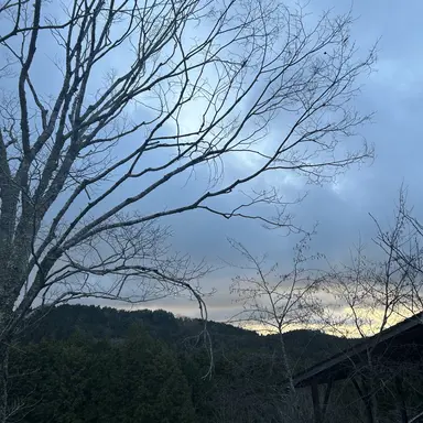 Profile image of ちょる