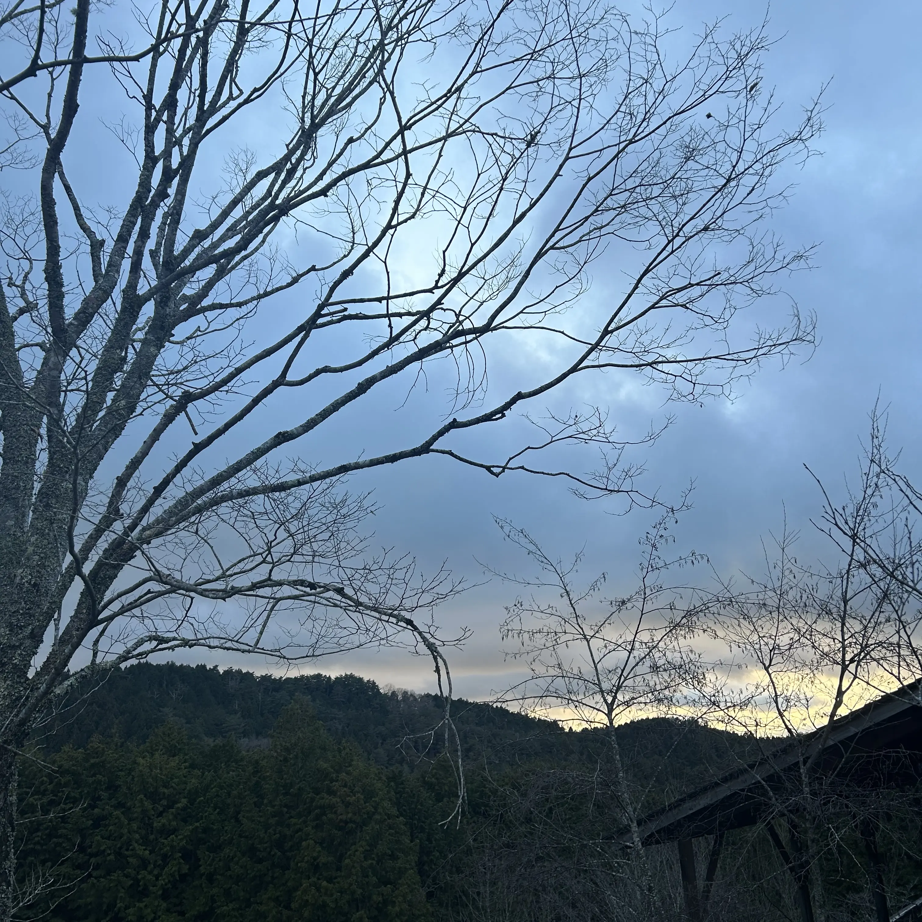svt_min9yu_k의 くぷすおっぱ