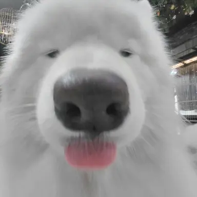 Profile image of 권해범