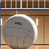 Profile image of Training Camp