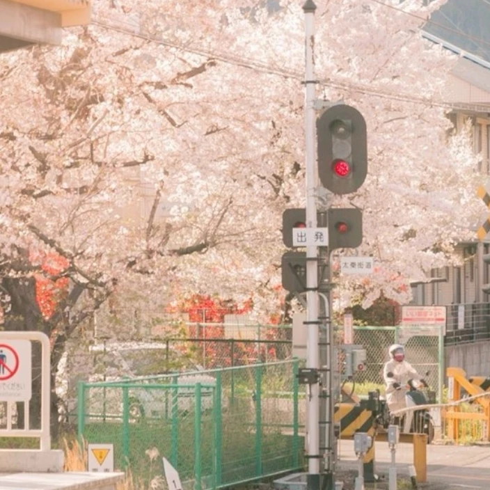 준브레드