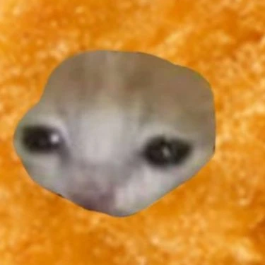 해피캣 치킨너겟