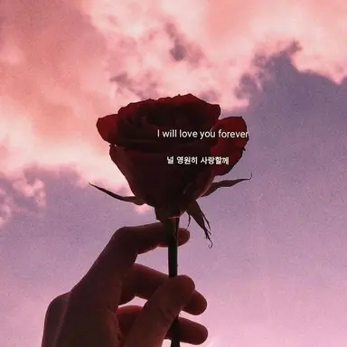 Profile image of 서라더