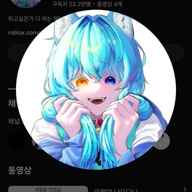 Profile image of 료미
