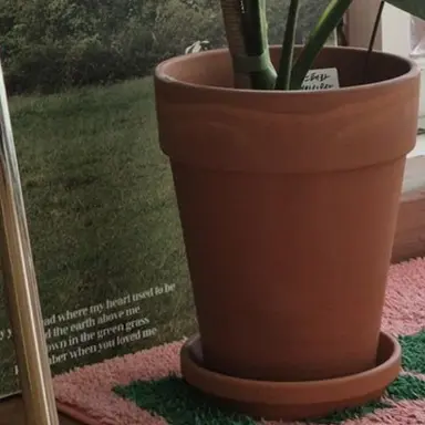 Profile image of 폴렌