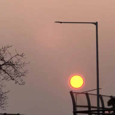 Profile image of ギュビン