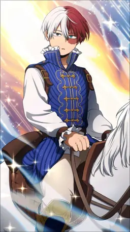 Profile image of Shoto Todoroki