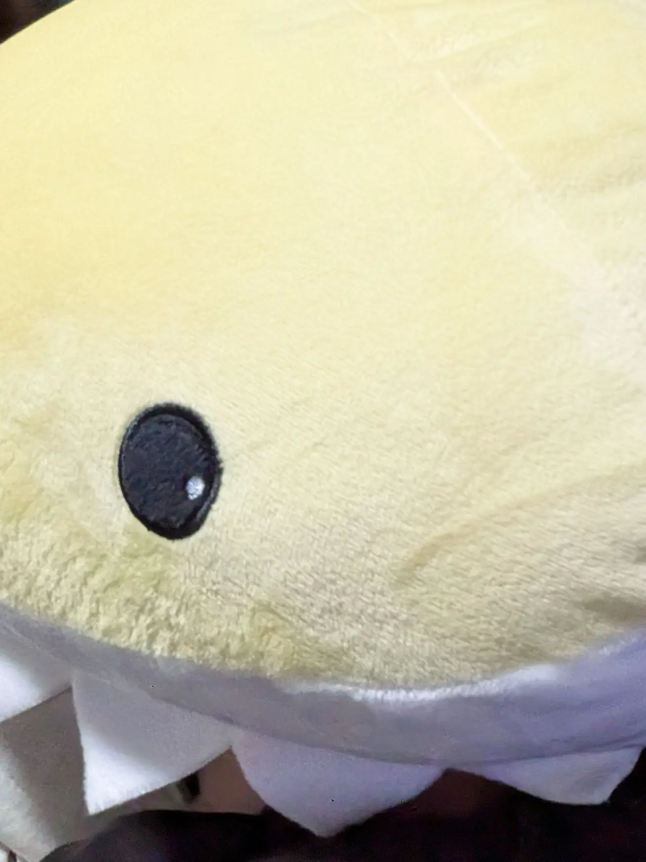 WaryStamp3493의 ただの猫にジョンウォンと名前をつけて。