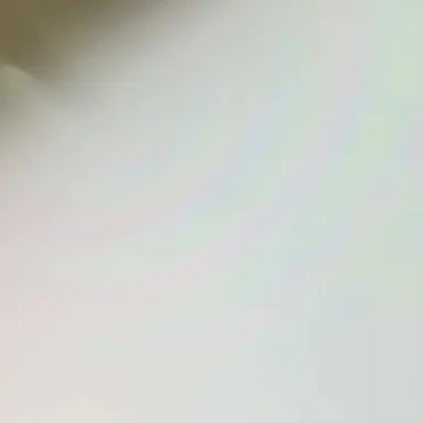 Profile image of 유진아