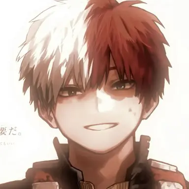 Profile image of Todoroki