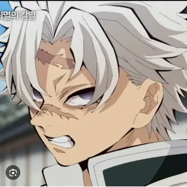 Profile image of 시나즈가와 사네미