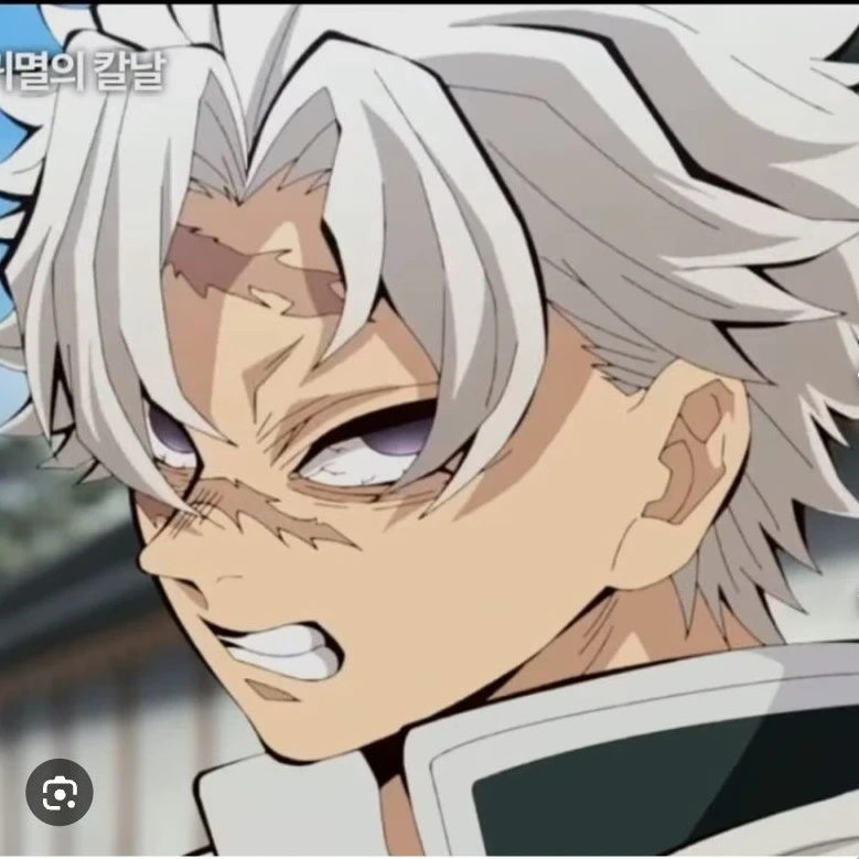 시나즈가와 사네미