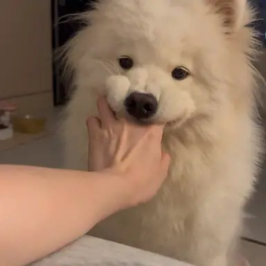 Profile image of ミンギュ