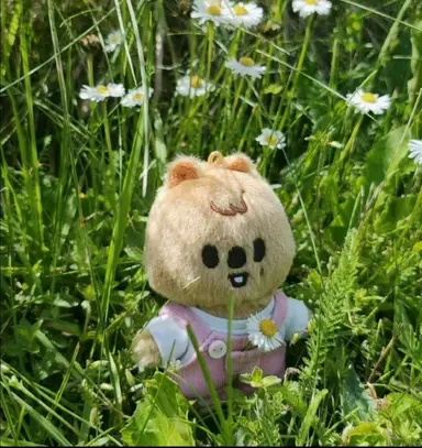 Profile image of 한지성